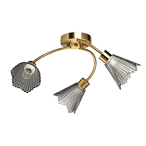 Потолочная люстра Восторг 242018103