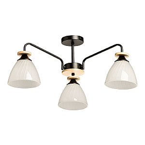 Потолочная люстра Дэла 635018003