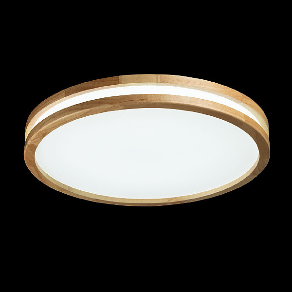 Светильник потолочный Норден 660015401