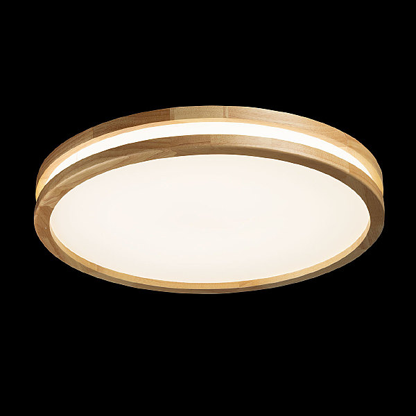 Светильник потолочный Норден 660015401