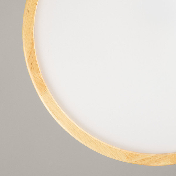 Светильник потолочный Норден 660015401