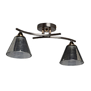 Потолочная люстра Тетро 673018902