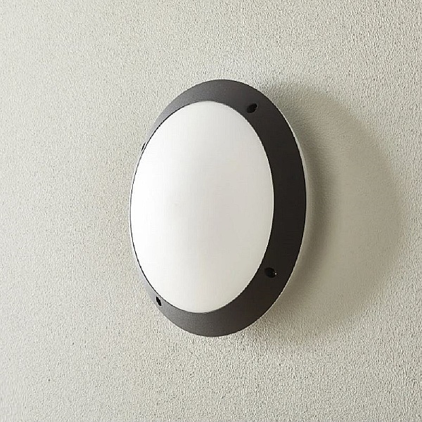 Уличный потолочный светильник Lucia 1R3.000.000.AYE27CL1