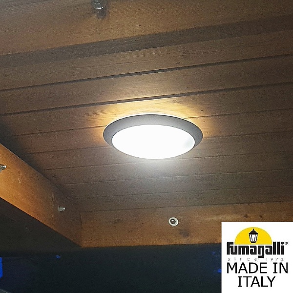 Уличный потолочный светильник Lucia 1R3.000.000.AYE27CL1