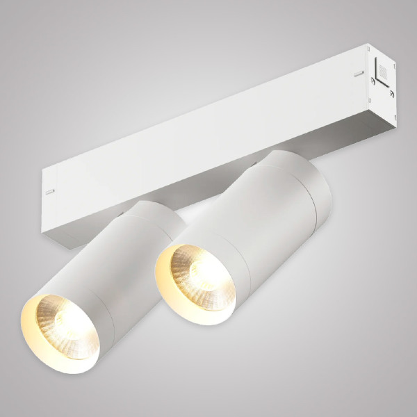 Трековый светильник Smart cylinder AM528 WH-220V-2X10W SMART