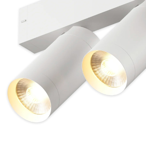 Трековый светильник Smart cylinder AM528 WH-220V-2X10W SMART