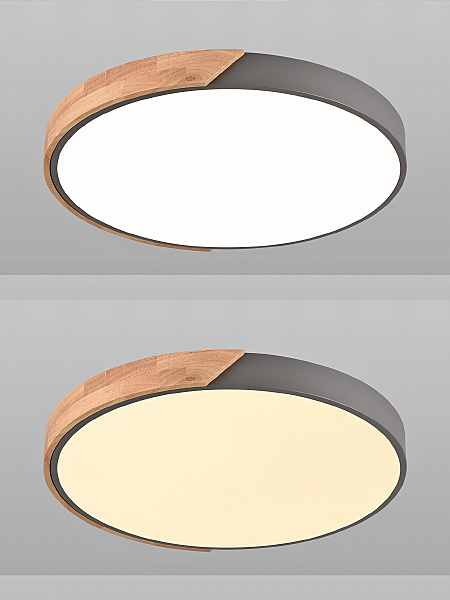 Светильник потолочный Scandinavian LED LAMPS 81183