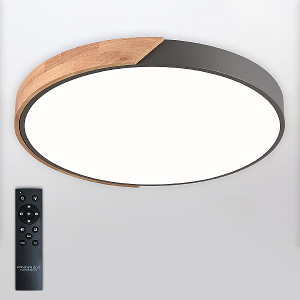 Светильник потолочный Scandinavian LED LAMPS 81183