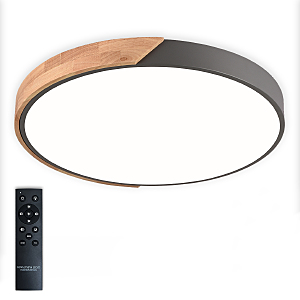 Светильник потолочный Scandinavian LED LAMPS 81183