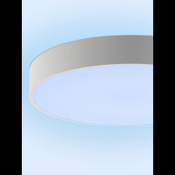 Светильник потолочный Modern LED LAMPS 81105/1C