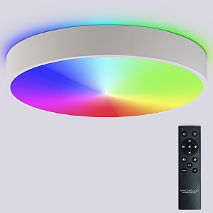 Светильник потолочный Modern LED LAMPS 81105/2C