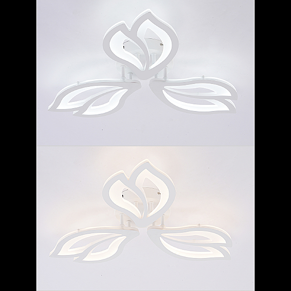 Потолочная люстра Fortuna LED LAMPS 81107/2C