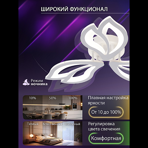Потолочная люстра Fortuna LED LAMPS 81107/2C