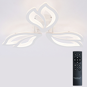 Потолочная люстра Fortuna LED LAMPS 81107/2C