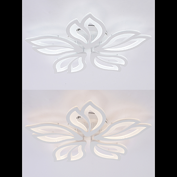 Потолочная люстра Fortuna LED LAMPS 81107/4C