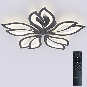 Потолочная люстра Fortuna LED LAMPS 81107/5C