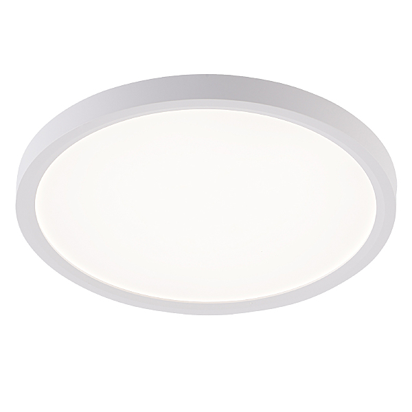 Светильник потолочный Plain LED LAMPS 81113/2C