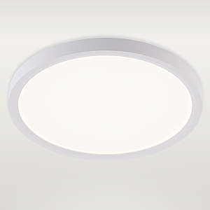Светильник потолочный Plain LED LAMPS 81113/2C