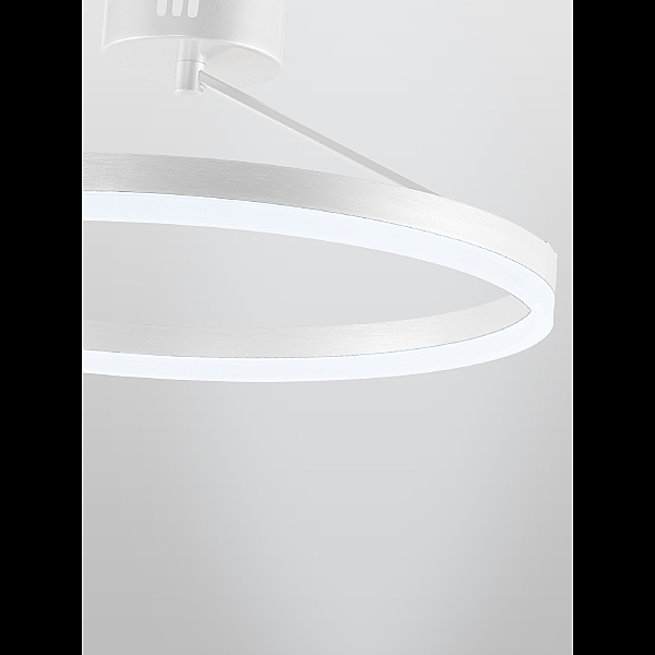 Светильник потолочный Finam LED LAMPS 81121/1C