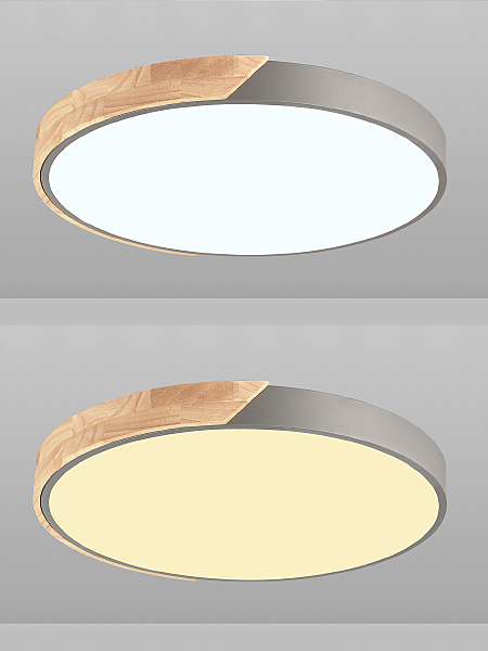 Светильник потолочный Scandinavian LED LAMPS 81184