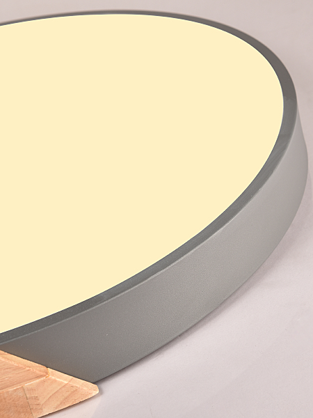 Светильник потолочный Scandinavian LED LAMPS 81184
