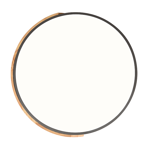Светильник потолочный Scandinavian LED LAMPS 81184