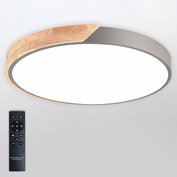 Светильник потолочный Scandinavian LED LAMPS 81184