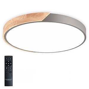 Светильник потолочный Scandinavian LED LAMPS 81184