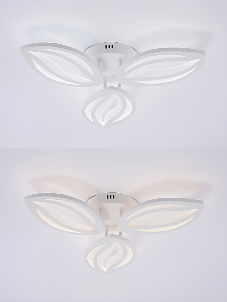 Потолочная люстра Sm LED LAMPS 81456