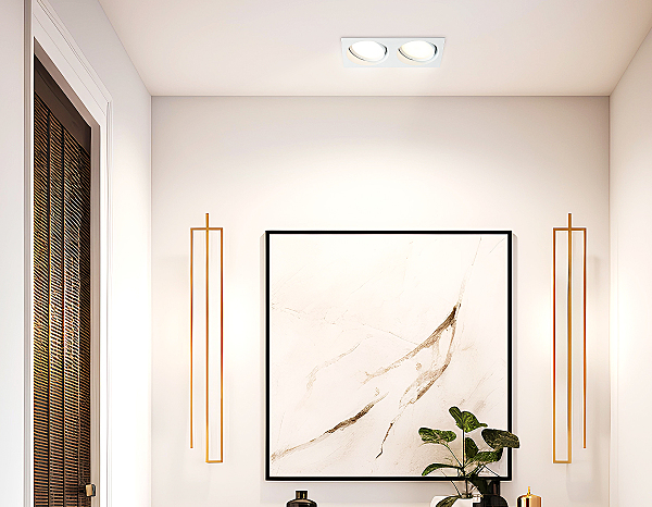 Встраиваемый светильник Standard Tech TN52234