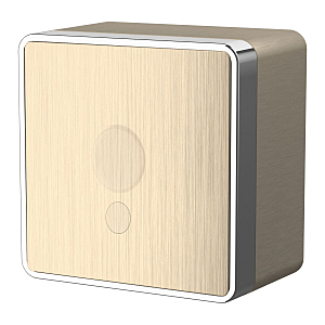 Аксессуар Werkel W5050210/ Вывод кабеля Gallant (шампань рифленый)