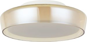 Светильник потолочный Ipstat 4027/05/01C-IP