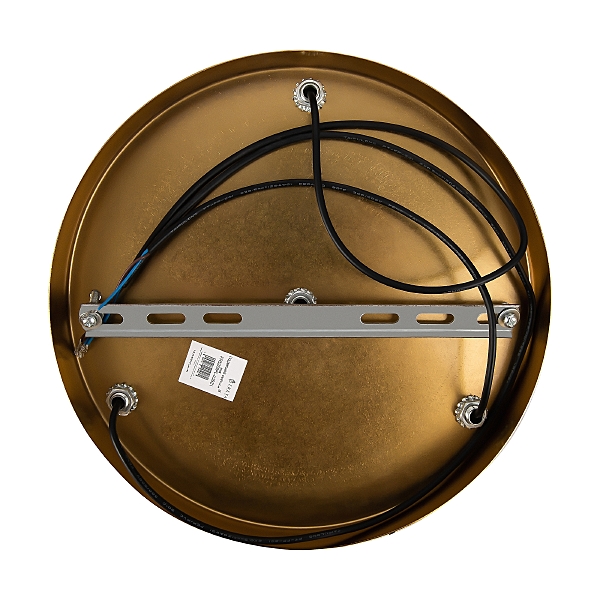 Светильник подвесной Sway FR5269PL-03BZ1