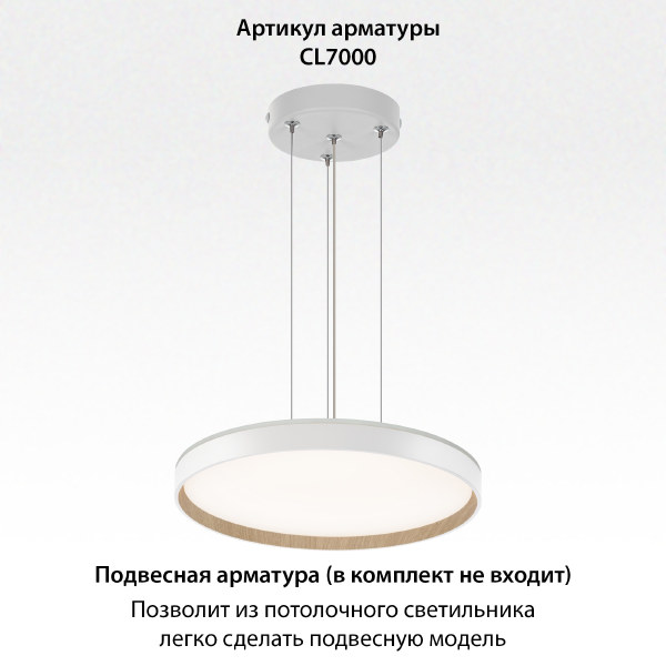 Светильник потолочный Etalon CL750400R