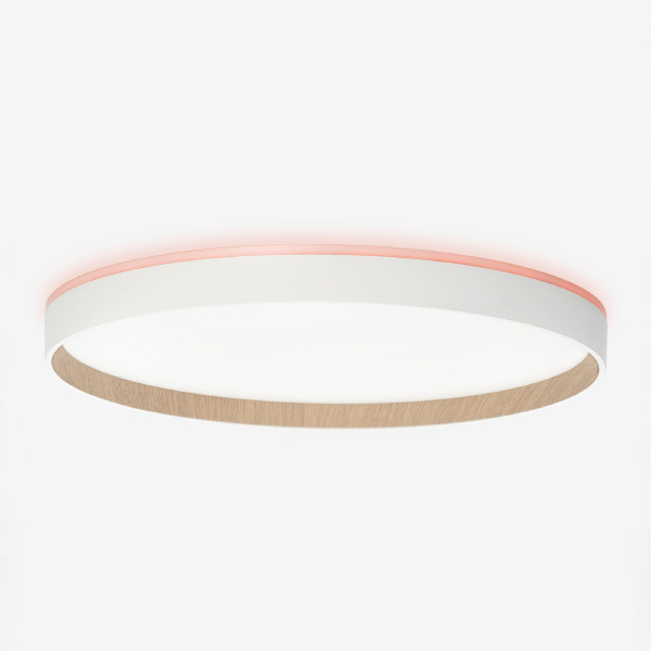 Светильник потолочный Etalon CL750400R