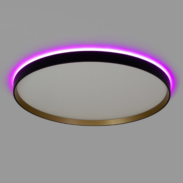 Светильник потолочный Etalon CL750501R