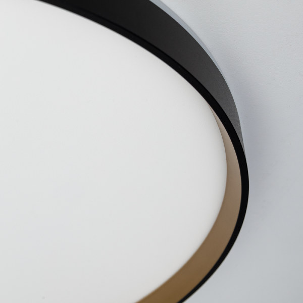 Светильник потолочный Etalon CL750501R