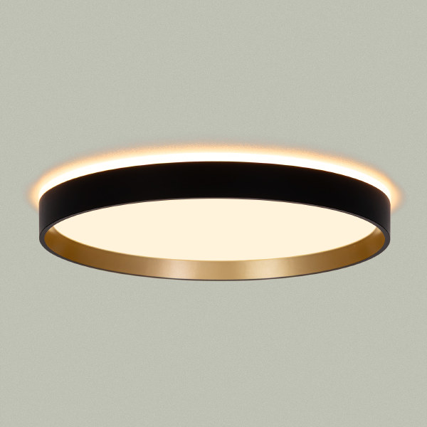 Светильник потолочный Etalon CL750321R