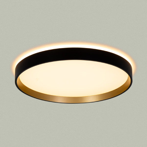 Светильник потолочный Etalon CL750321R