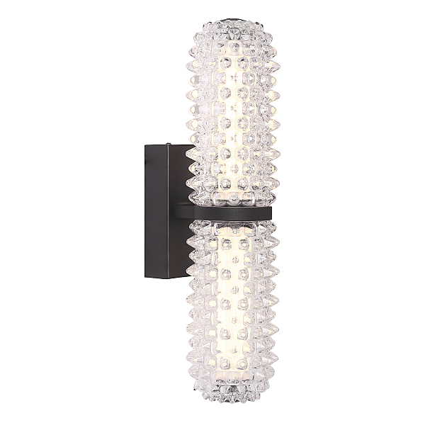 Настенный светильник SAGUARO SL6144.401.01