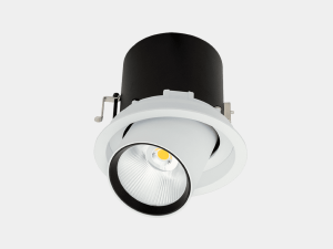 Встраиваемый светильник SPL SPL-R1-25-WW