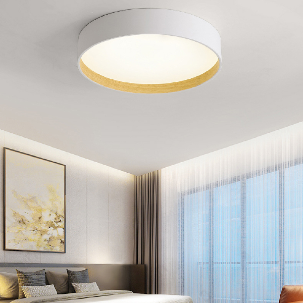 Светильник потолочный Netty01 224021-23