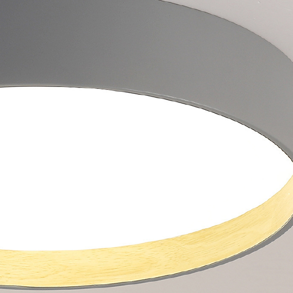 Светильник потолочный Netty01 224021-23