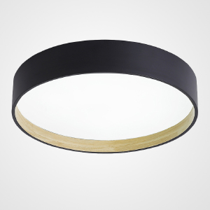 Светильник потолочный Netty01 224021-23