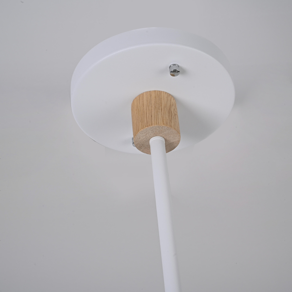 Люстра на штанге Turna-Dbl01 229079-26