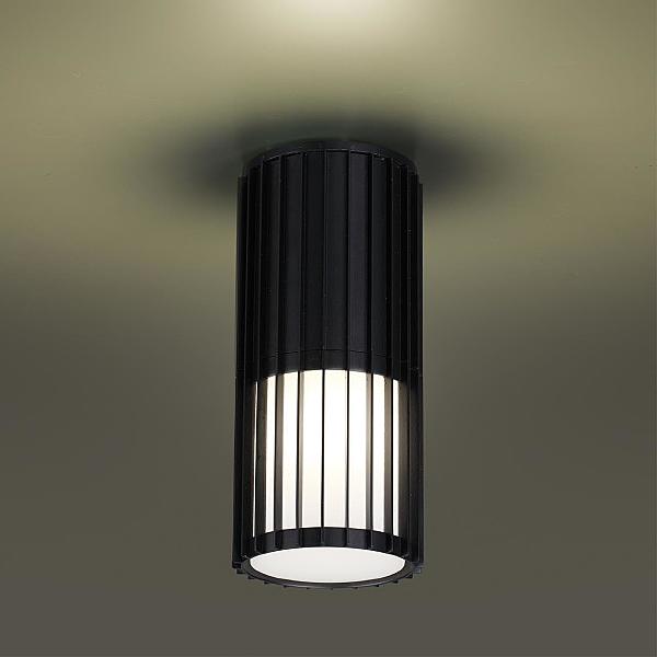 Уличный потолочный светильник Costas 370993