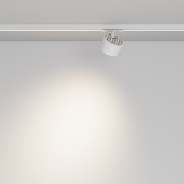 Трековый светильник Glare TR225-1-GX53-W