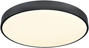 Светильник потолочный 444 444-647-01