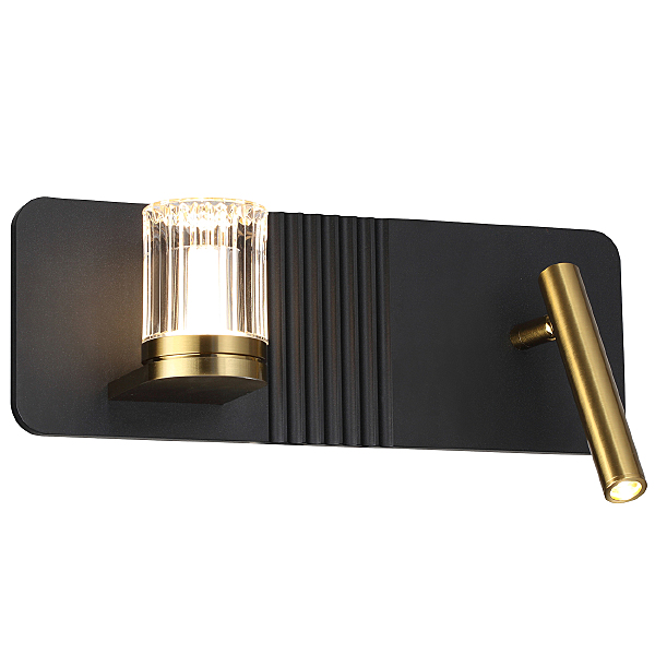 Настенный светильник Rilievo V000202L 14032/2W Black