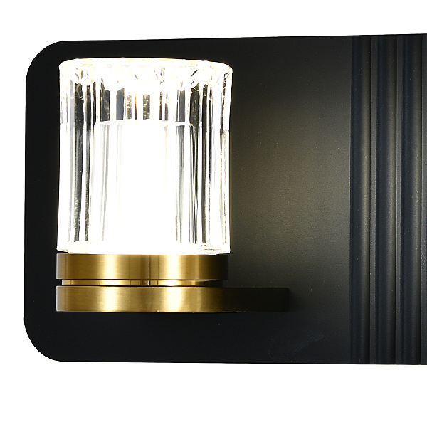 Настенный светильник Rilievo V000202L 14032/2W Black